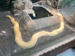 -上海大自然野生昆虫馆(东方明珠·爬宠昆虫探索中心)