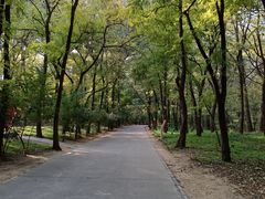 -廊坊市自然公园