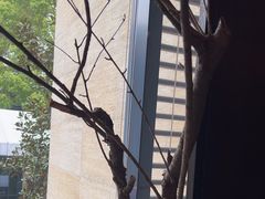 -湖滨客舍·湖北菜