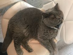-小时光咖啡馆(北锣鼓巷店)