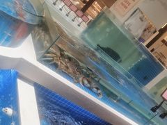 -渔人码头(中南店)