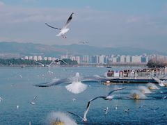 -海埂大坝