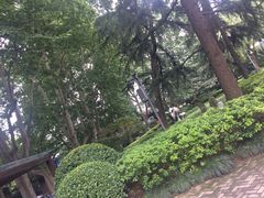 -静安公园(静安寺街道)