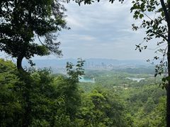 -大奇山国家森林公园