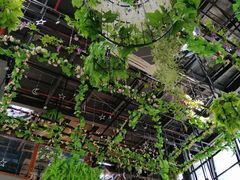 -聚缘·湘味音乐餐厅party(罗湖店)