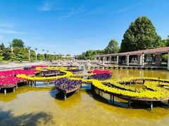 -石家庄市植物园