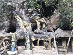 景点-永泰中国云顶