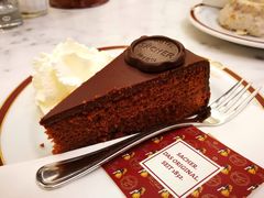 -Cafe Sacher(WIEN)