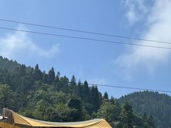 -武陵山森林公园