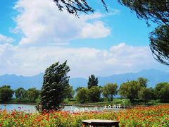 -野鸭湖国家湿地公园