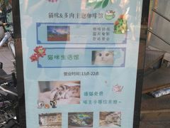-猫咪博物馆(顶澳仔猫街店)