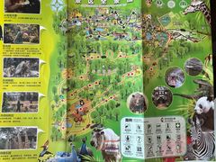 -海南热带野生动植物园