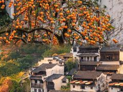 -篁岭景区