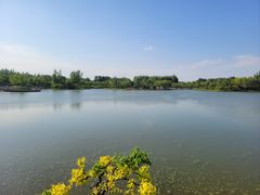 -东郊湿地公园