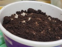 -津乐园(芥园道店)