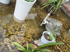 -野渡坡·极致湘菜·庭院餐厅(汉阳店)