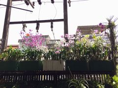 -自然餐厅(Phuket)