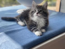 -齐伽生活馆·瑜伽·普拉提·阿育吠陀