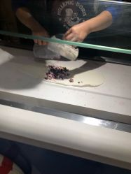 -朵莉丝希腊冻酸奶