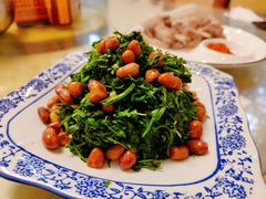 -靖远尕六美味羊羔肉