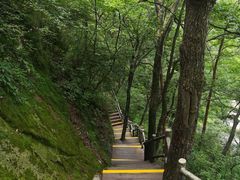 -内乡宝天曼生态旅游区