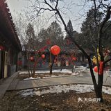 这么佛系的炸酱面，吃完浑身充满灵气儿，素斋界顶流！