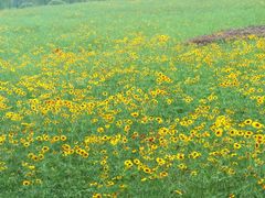 -中国矿业大学（南湖校区）-图书馆