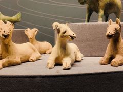 -广西壮族自治区博物馆