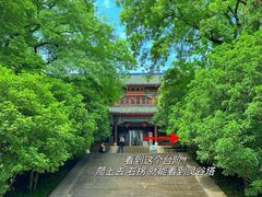 -灵谷景区
