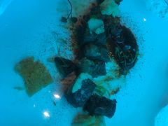 -亚特兰蒂斯•OSSIANO奥西亚诺海底餐厅
