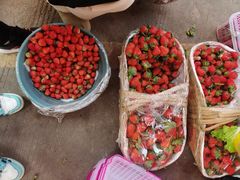 -南坛综合农贸市场