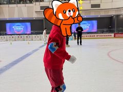 -冰纷万象滑冰场(二七万象城店)
