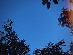 -红花山公园