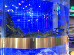 -蛙一刀·麻椒鱼火锅(金仙桥店)