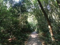 -广州市白云山风景名胜区