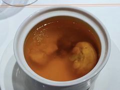 -觀芷隐轩
