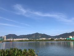 -飞来湖湿地公园