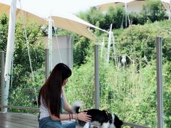 -帐篷客·溪龙茶谷度假酒店