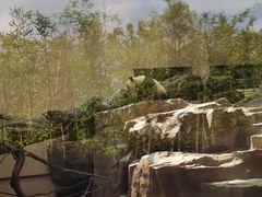 -宁波野生动物园