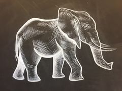 -ZOO COFFEE动物园咖啡(望京锐创店)