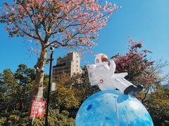 -坂田天虹