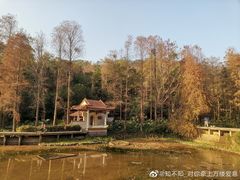 -深圳仙湖植物园