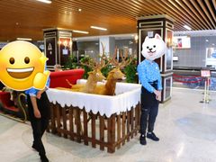 大堂-海昌极光餐厅