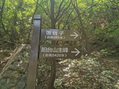 -阳台山自然风景区