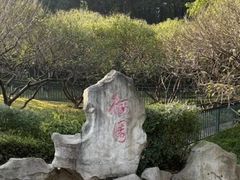 -重庆彩云湖湿地公园