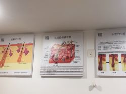 -章光101防脱养发荟