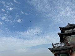-西湖游船