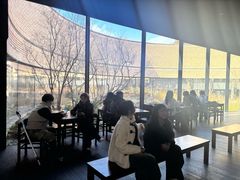 -雪绿茶博物馆
