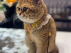 -想见你(咖啡·茶饮·甜品·江汉路店)