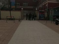 -金雁飞鸣双语幼儿园